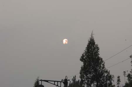 Elisabeth Smolarz 11