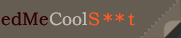 S**t