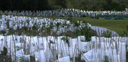 Anna Nordstrom & Ian Slade 1