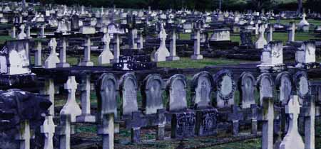 Anna Nordstrom & Ian Slade 2