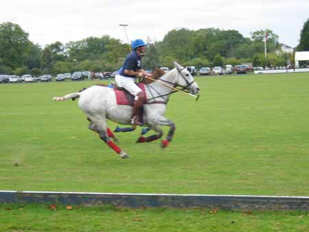 Biljana Tessa Tesic 1