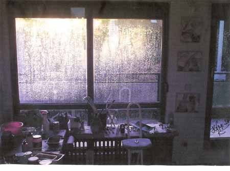 Brigitte Hoppstock 3