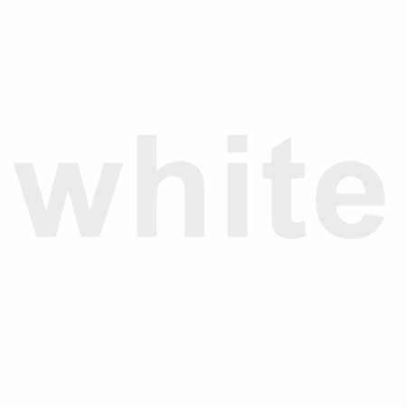 Carlos Katastrofsky 2