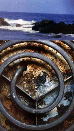 Claudia Serpentino Cortes 2