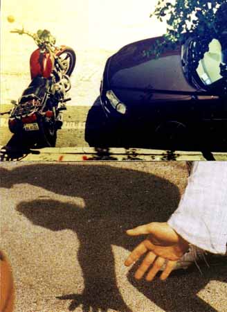 Claudia Serpentino Cortes 9