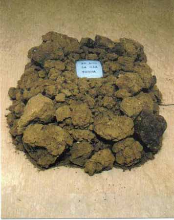 Gruppo Sinestetico 4a