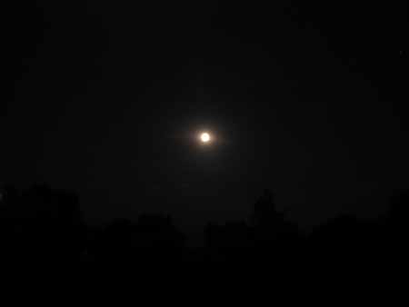 Gudrun Thiessen-Schneider 3