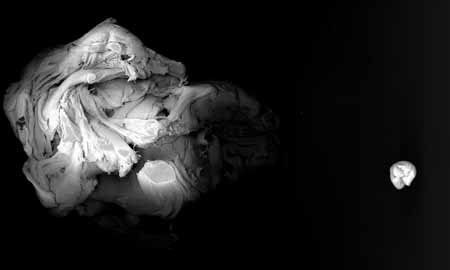 Justin Garnsworthy 1