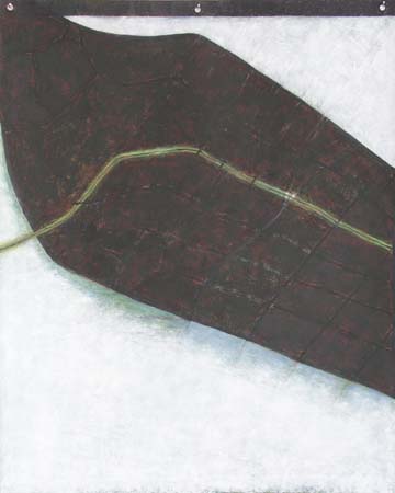 Carmel Byrne 7